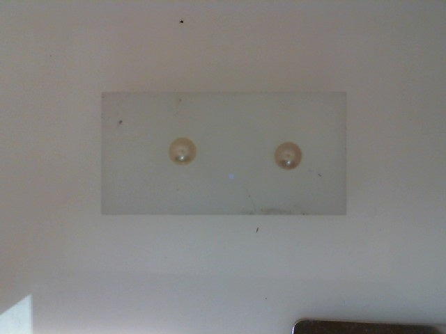 Pearl Earring
