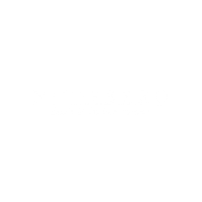 N.T Ferro 