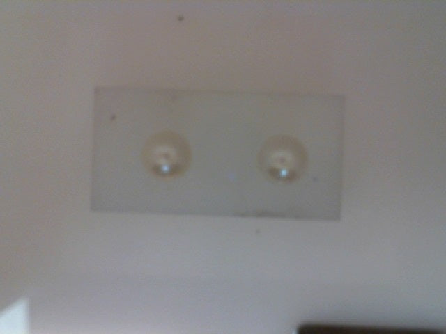 Pearl Earring